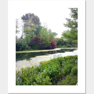 Lily Pad Pond Posters and Art